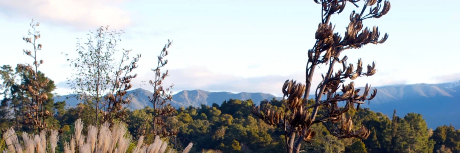 Call to action image