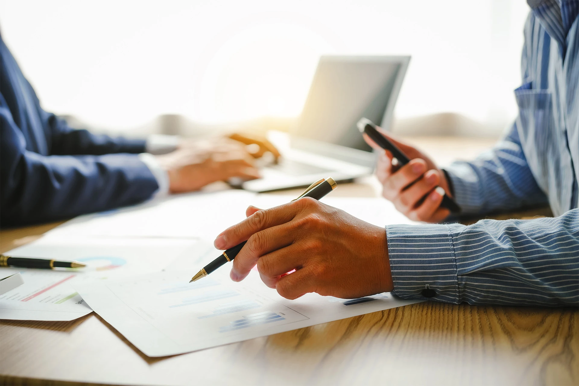 Vega business experts