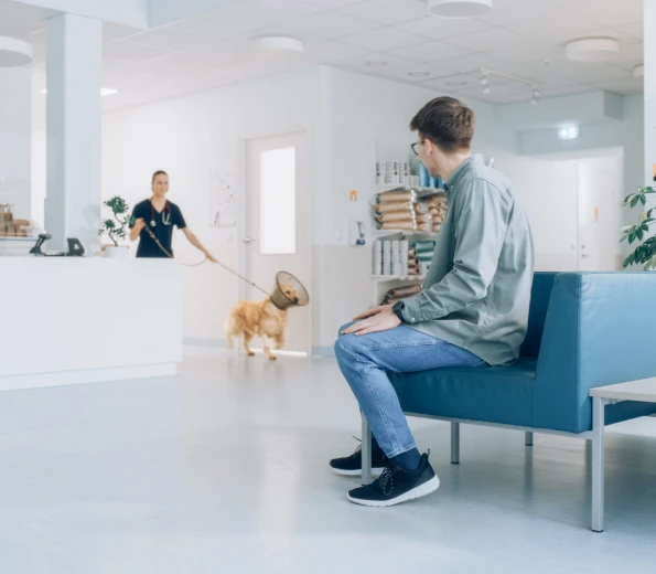 Veterinary Practices